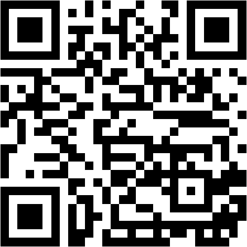 N30 Web QR Code